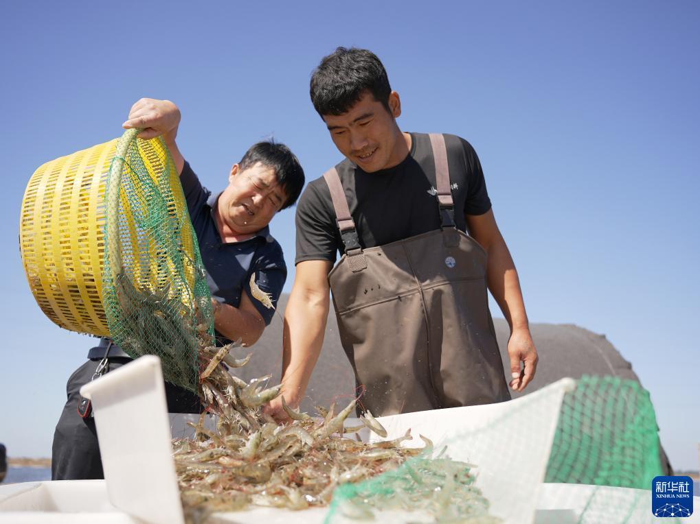 大富豪游戏中心